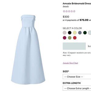 Amsale Bridesmaid Dress rene gb104a ice